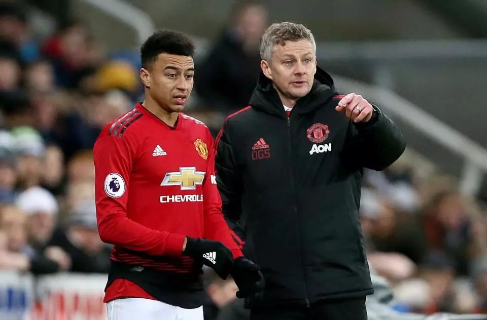 从而积累了 从而积累了